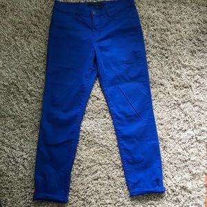 Calvin Klein Electric Blue Jeans